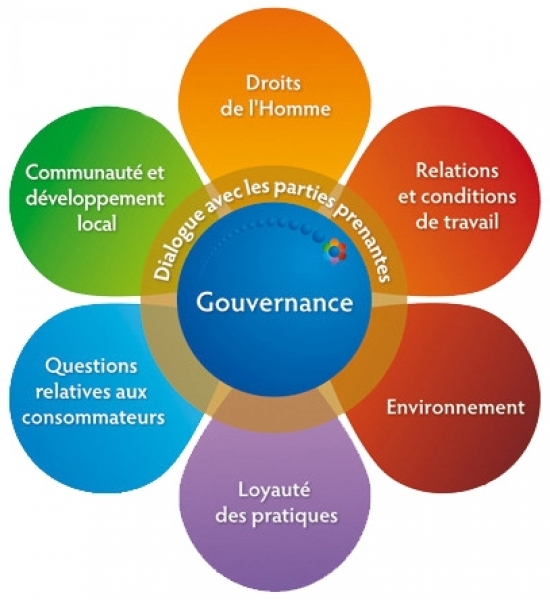 Responsabilit&eacute; Soci&eacute;tale des Organisations